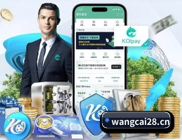 旺财28 APP 深度功能