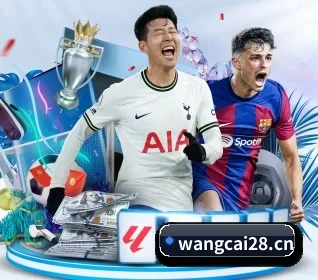 旺财28 APP 界面